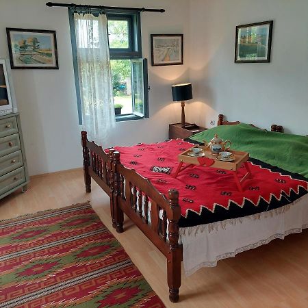 Apartmani Petkovic 226 Velika Drenova Exteriér fotografie