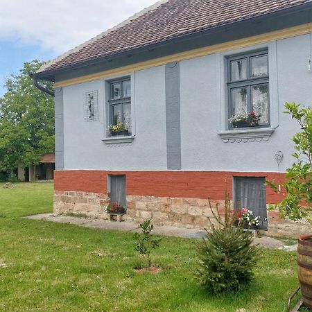 Apartmani Petkovic 226 Velika Drenova Exteriér fotografie