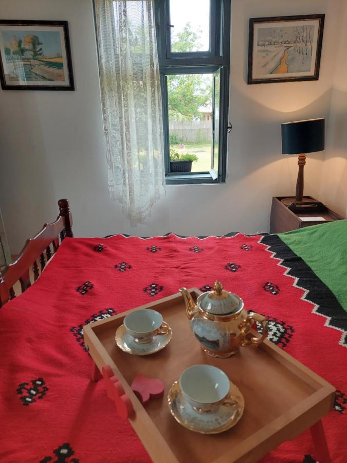 Apartmani Petkovic 226 Velika Drenova Exteriér fotografie