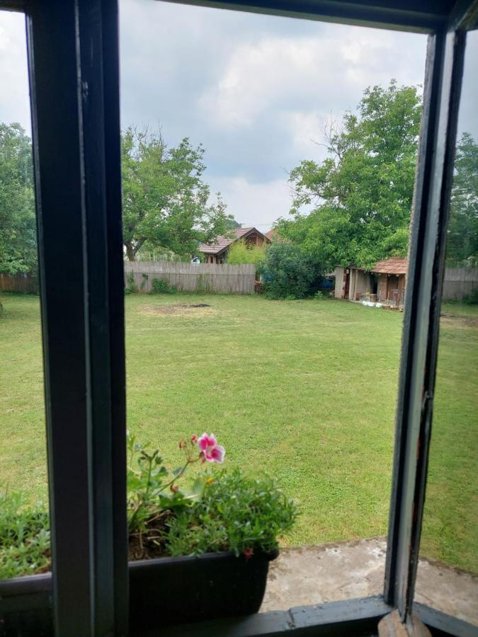 Apartmani Petkovic 226 Velika Drenova Exteriér fotografie