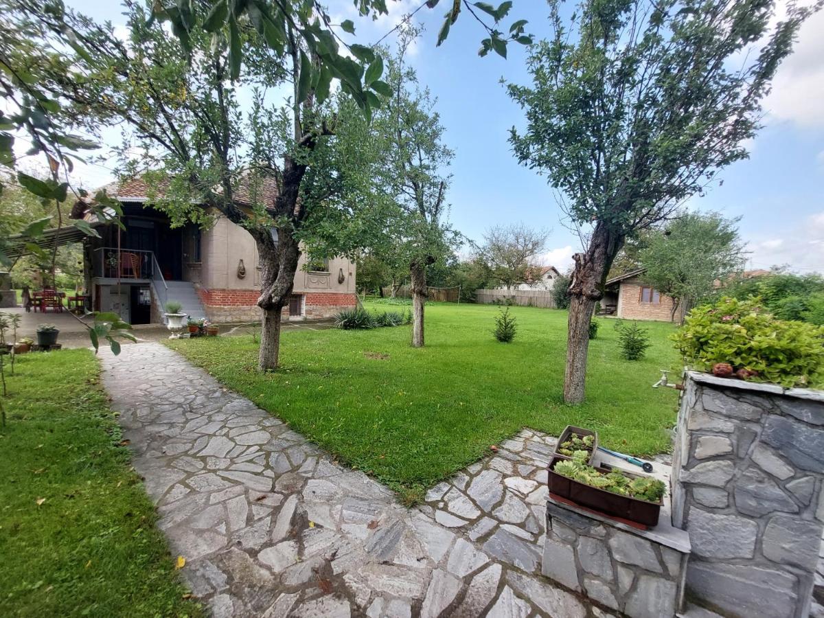 Apartmani Petkovic 226 Velika Drenova Exteriér fotografie