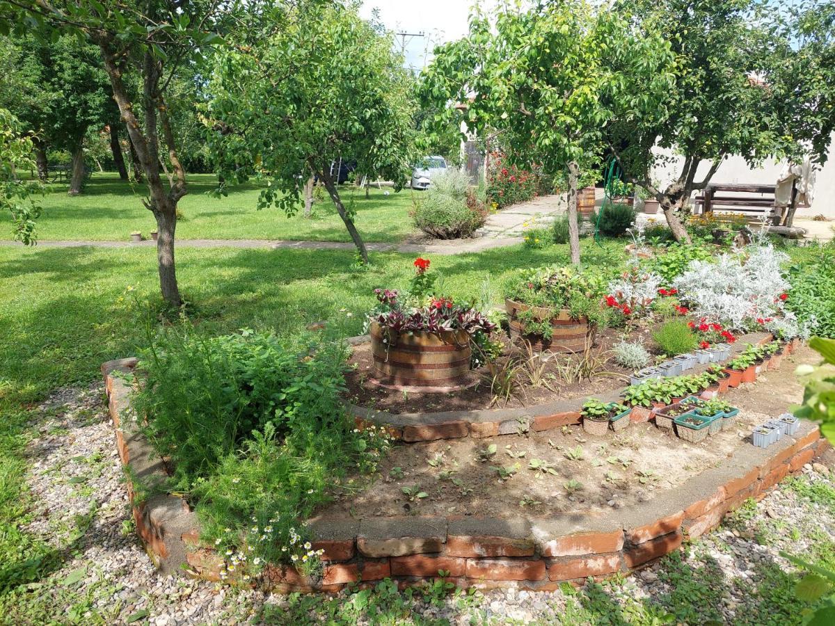Apartmani Petkovic 226 Velika Drenova Exteriér fotografie